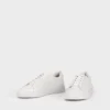 Cody Sneaker