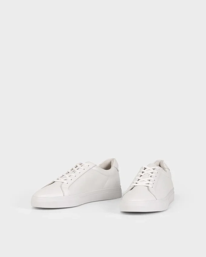 Cody Sneaker