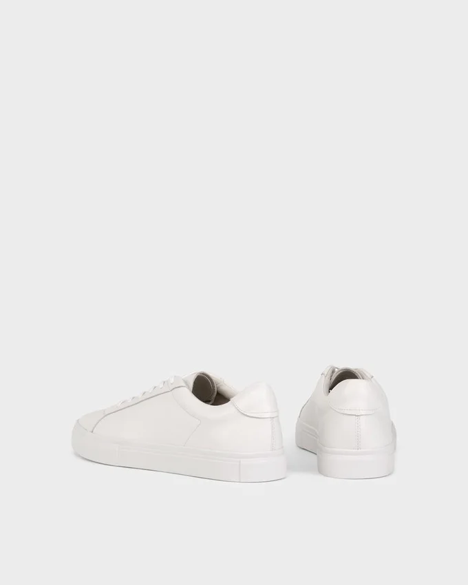 Cody Sneaker