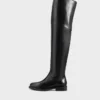 Freya Stiefel