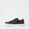 Paul 2.0 Sneaker